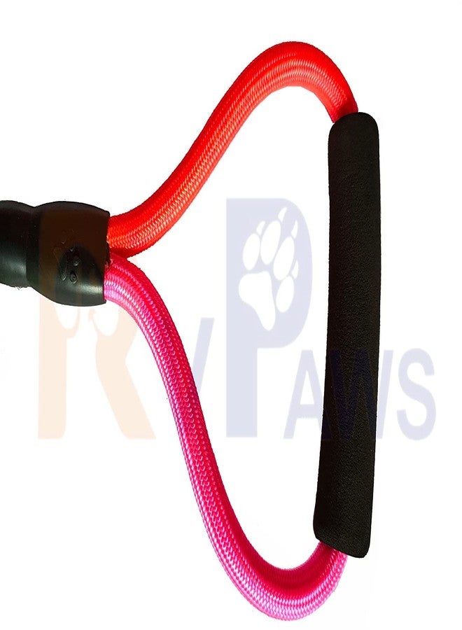 Pups&Pets طقم سرج صدر قابل للتعديل ومقود للكلاب من Pups&Pets | سرج آمن من النايلون بألوان قوس قزح، مقاس 1 بوصة، مع مقود للكلاب متوسطة الحجم (قابل للتعديل من 46 إلى 68 سم) - Image 5